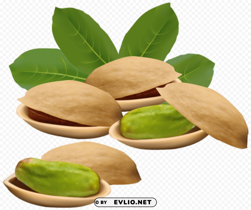 pistachio nuts PNG Image with Transparent Isolated Design