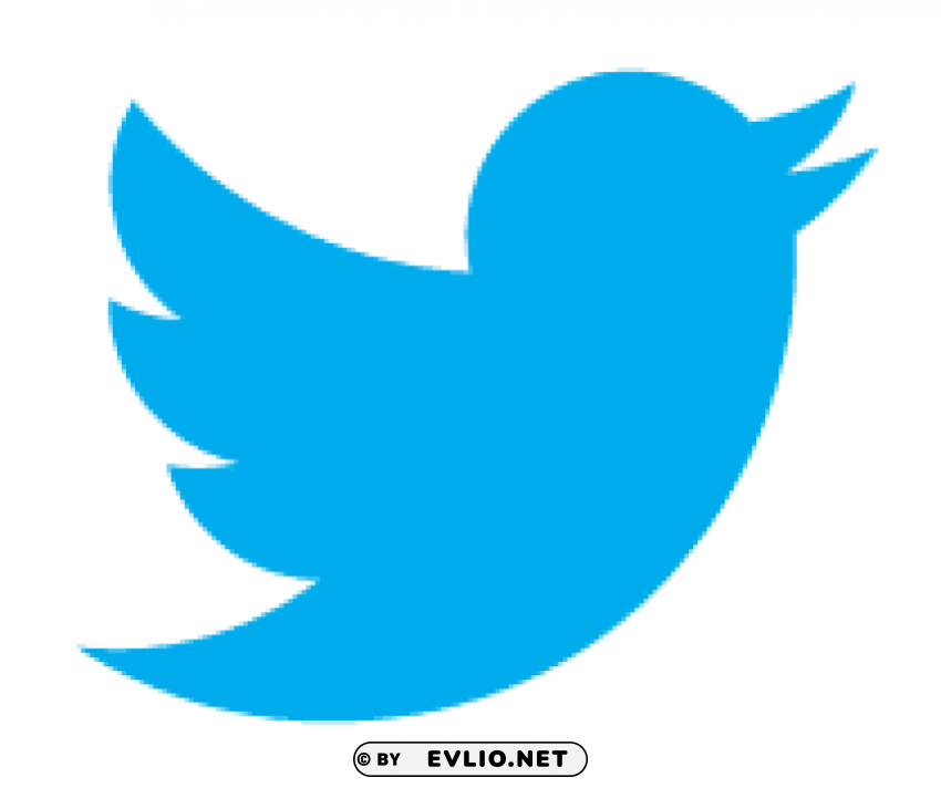 twitter bird PNG images with cutout png - Free PNG Images ID b27b5be4