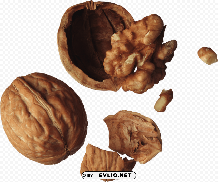 walnut PNG files with clear backdrop collection