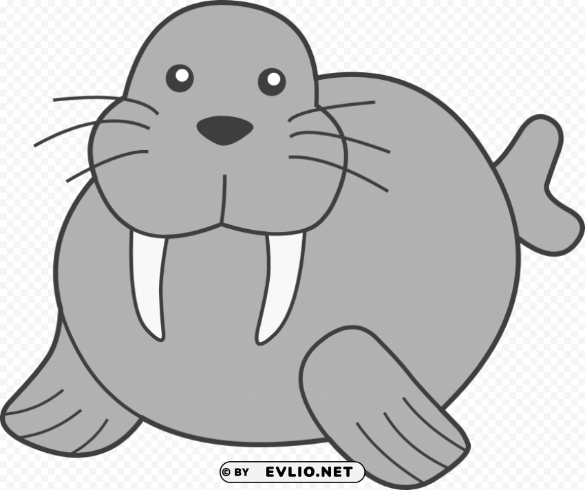 walrus Clear PNG pictures bundle