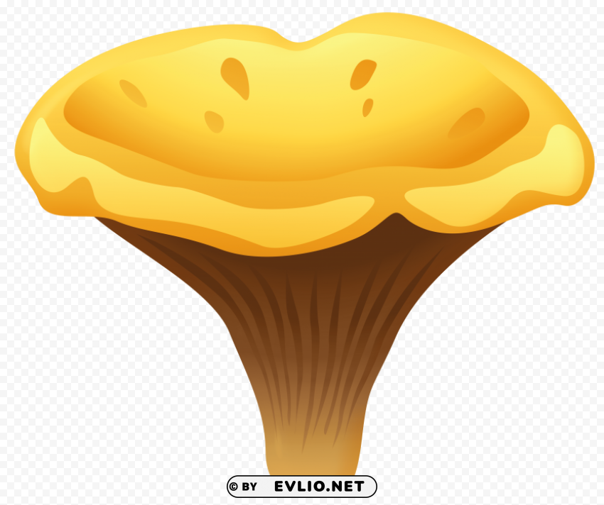 yelow chanterelle mushroom Isolated Design Element in Transparent PNG