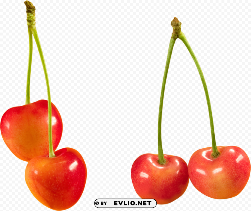 Cherrys PNG Transparency