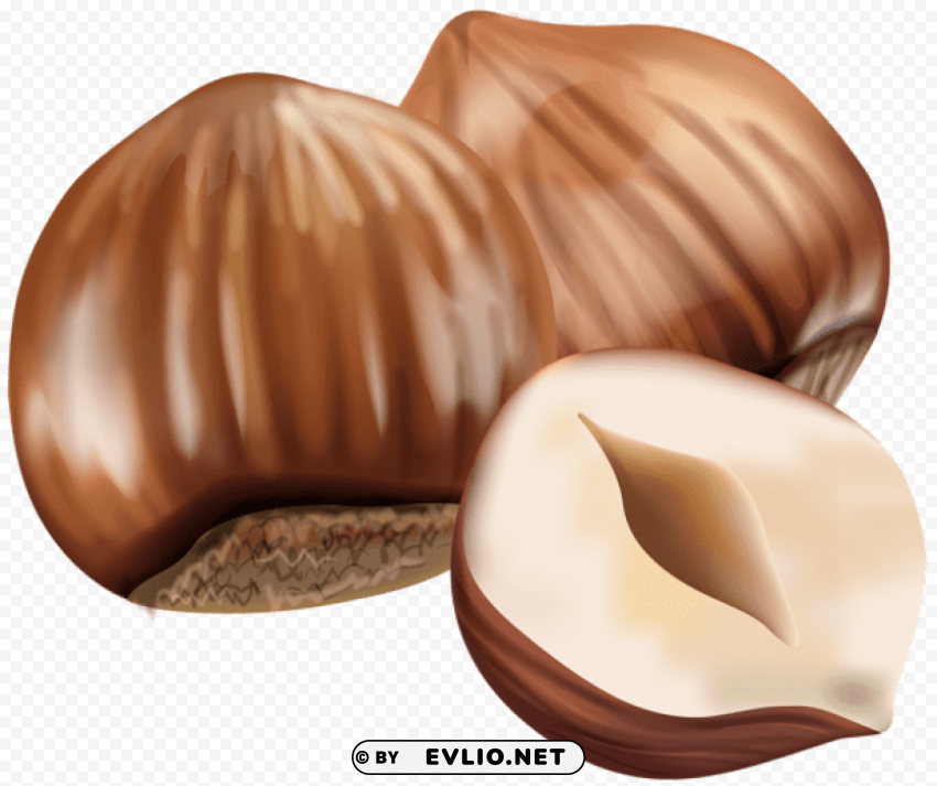 hazelnut ClearCut Background PNG Isolated Element