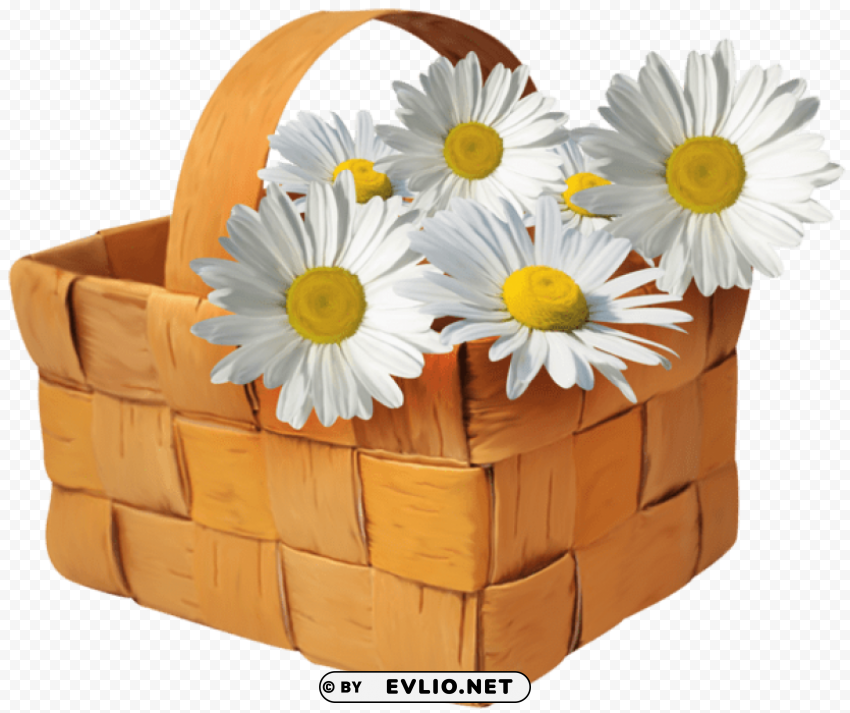 Large Basket With Daisies Transparent Background PNG Isolation