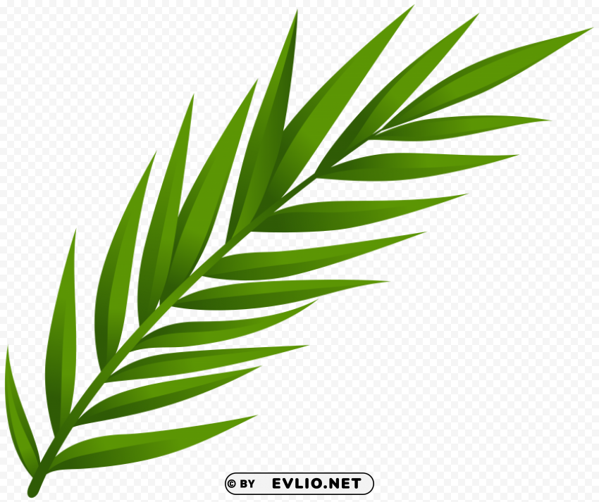 leaf PNG graphics with alpha transparency bundle