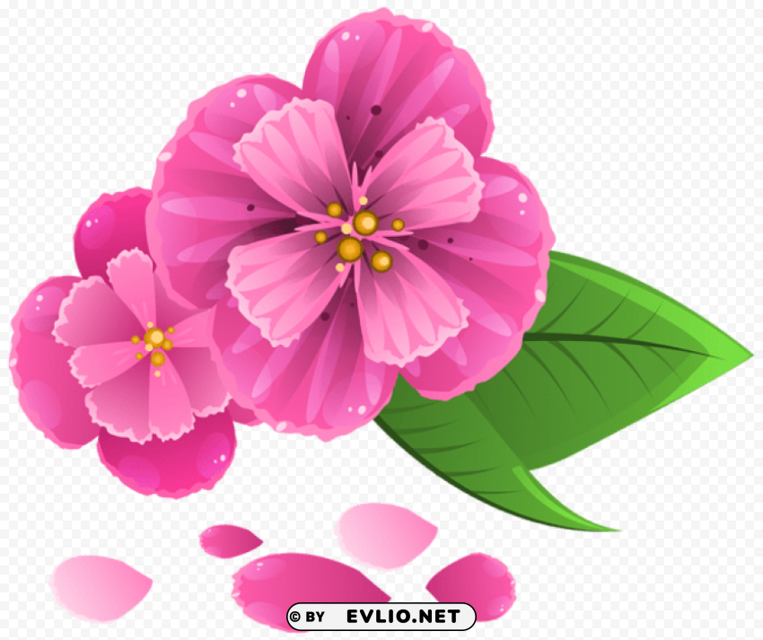 pink flower with petals Clear PNG images free download