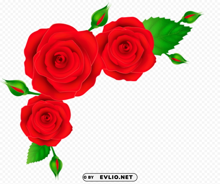 red roses corner Transparent Background Isolated PNG Item
