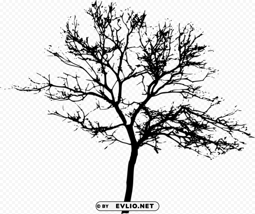tree silhouette PNG Graphic with Transparency Isolation