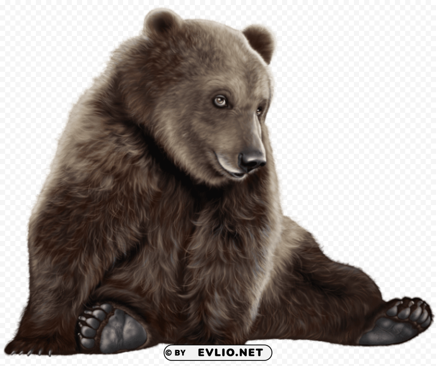 Bear PNG Graphic Isolated With Clear Background