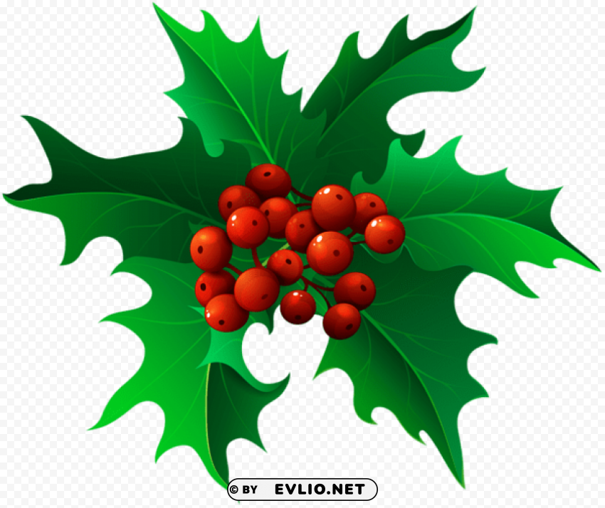 christmas holly mistletoe Transparent PNG graphics complete collection