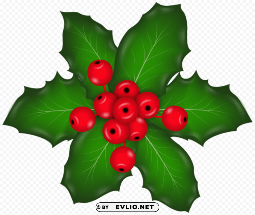 christmas mistletoe Transparent PNG graphics library