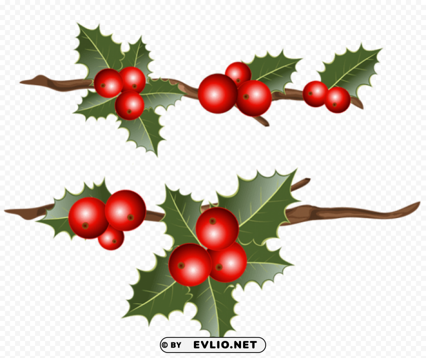 holly branches Free PNG images with alpha channel set