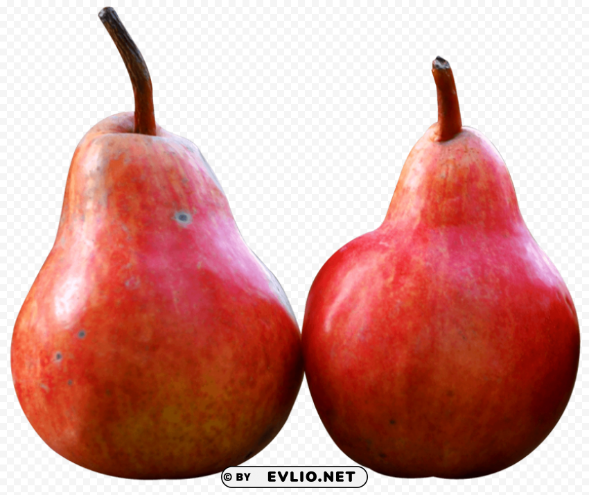 Pear Isolated Artwork with Clear Background in PNG