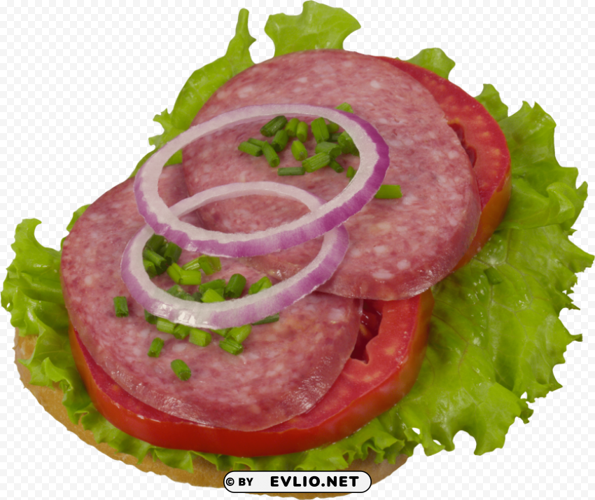 salami bread Isolated Subject in HighQuality Transparent PNG