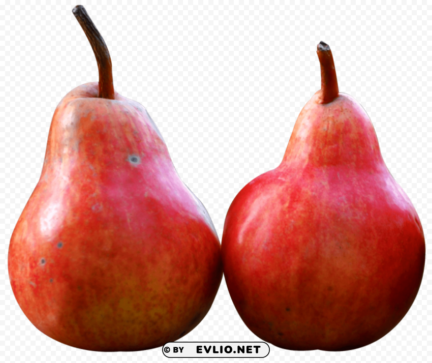 two pear fruits PNG Image with Isolated Subject