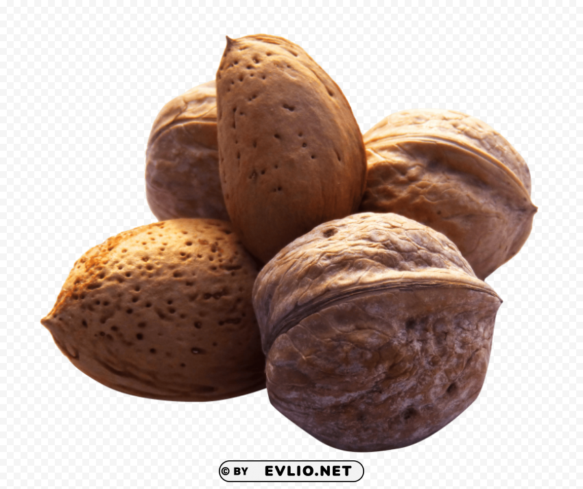 walnut No-background PNGs