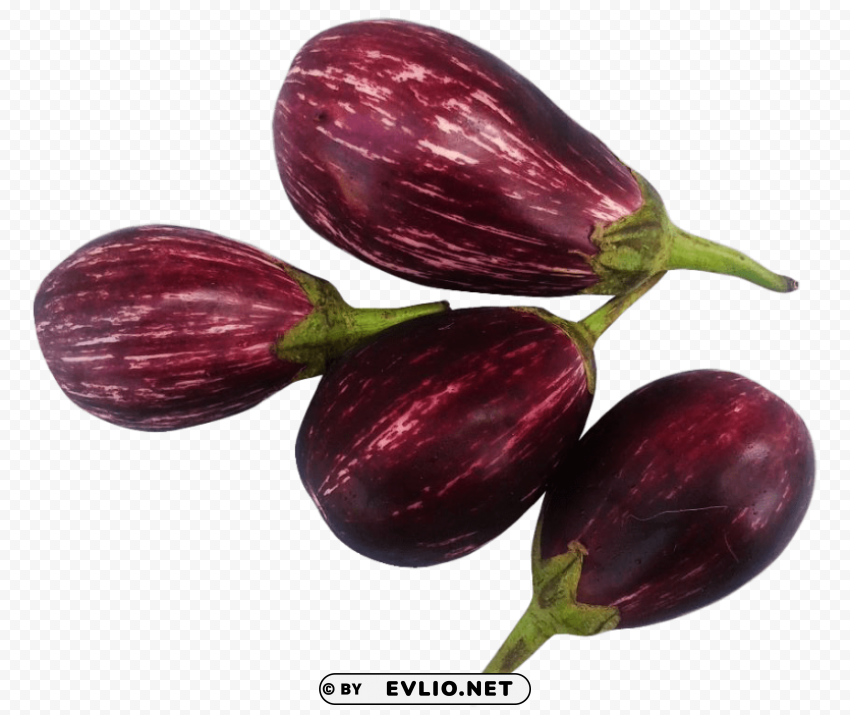 Brinjal PNG Graphic Isolated With Clear Background