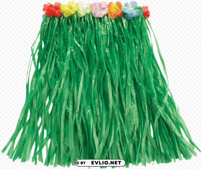 hawaiian grass skirt Isolated Character with Clear Background PNG PNG transparent with Clear Background ID b794dbb2