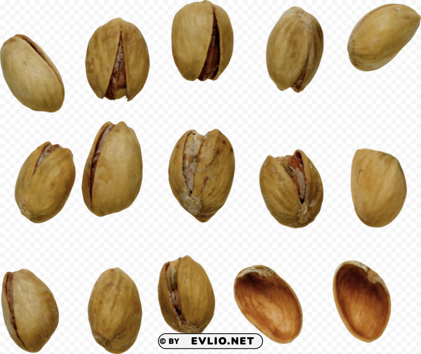 pistachios PNG format
