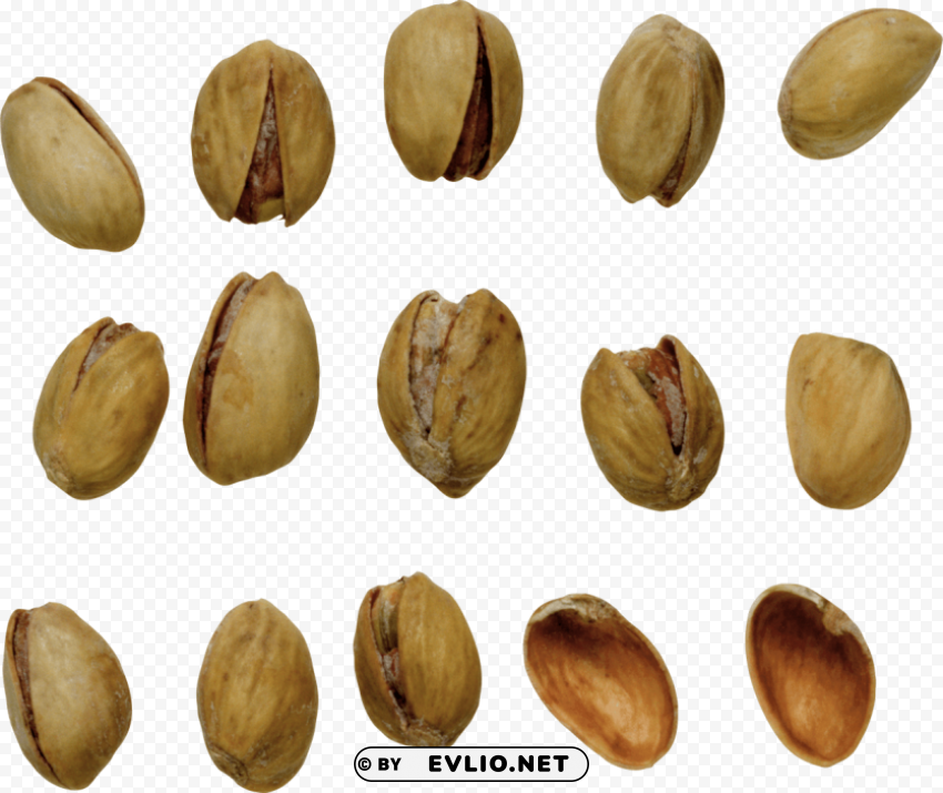 Pistachios PNG Format