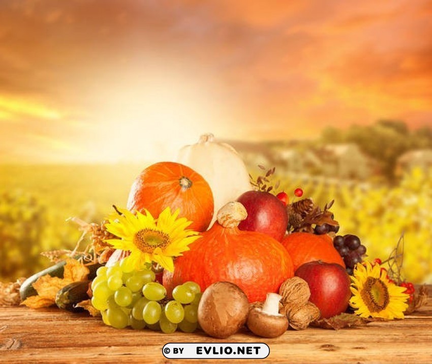autumn harvest Isolated Subject on HighQuality Transparent PNG
