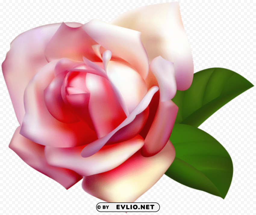 PNG image of beautiful rose PNG Graphic with Clear Background Isolation with a clear background - Image ID d6cc143e