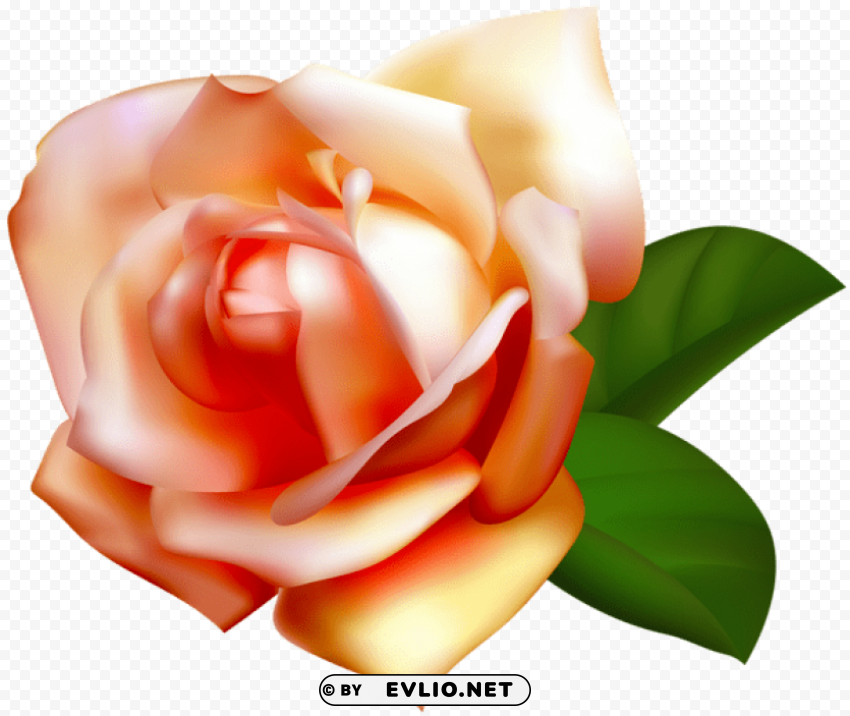 PNG image of beautiful rose PNG Graphic with Transparent Background Isolation with a clear background - Image ID e17c5c1a