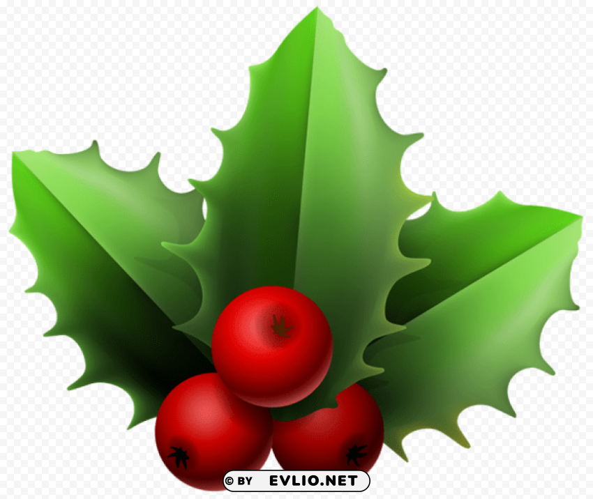 christmas mistletoe Transparent PNG graphics variety