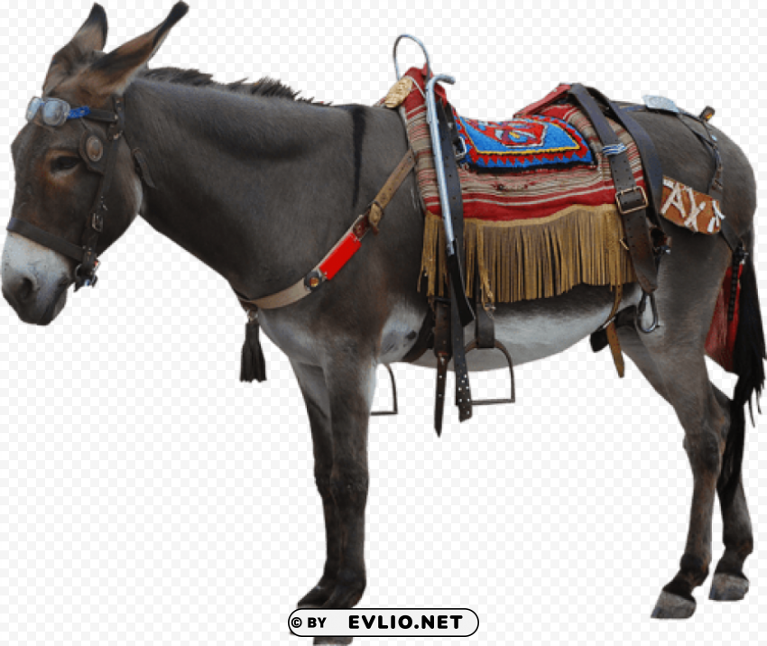 donkey PNG Graphic with Transparency Isolation png images background - Image ID 2092d9af