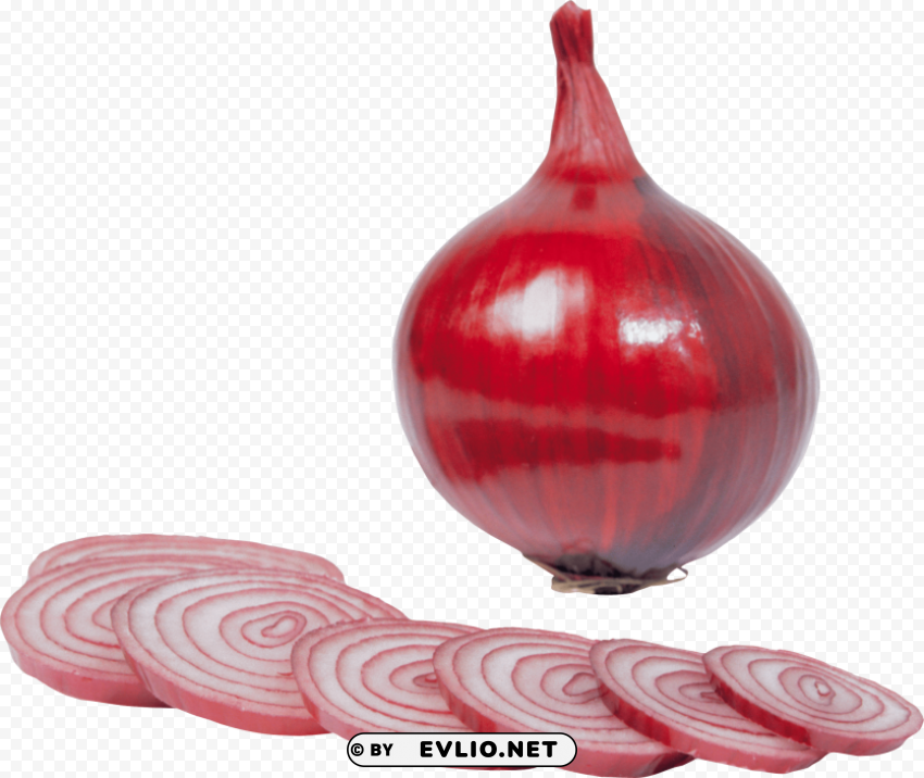 onion Transparent PNG images bundle