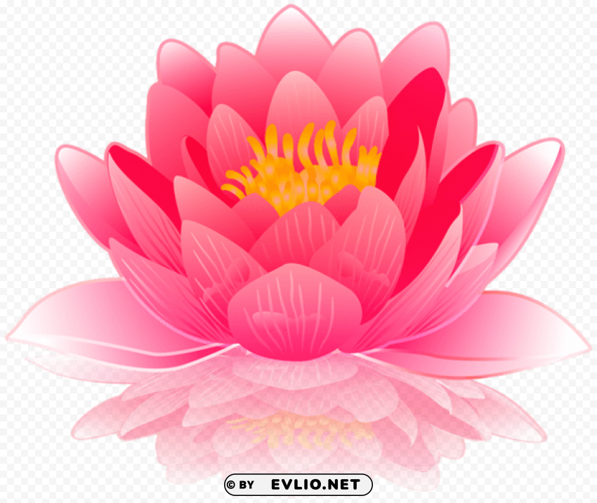 PNG image of pink water lily PNG free download with a clear background - Image ID b1e2668e