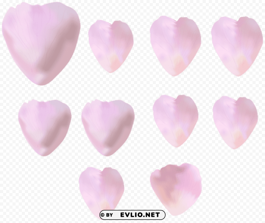 PNG image of rose petals hearts Clear image PNG with a clear background - Image ID 6d338005