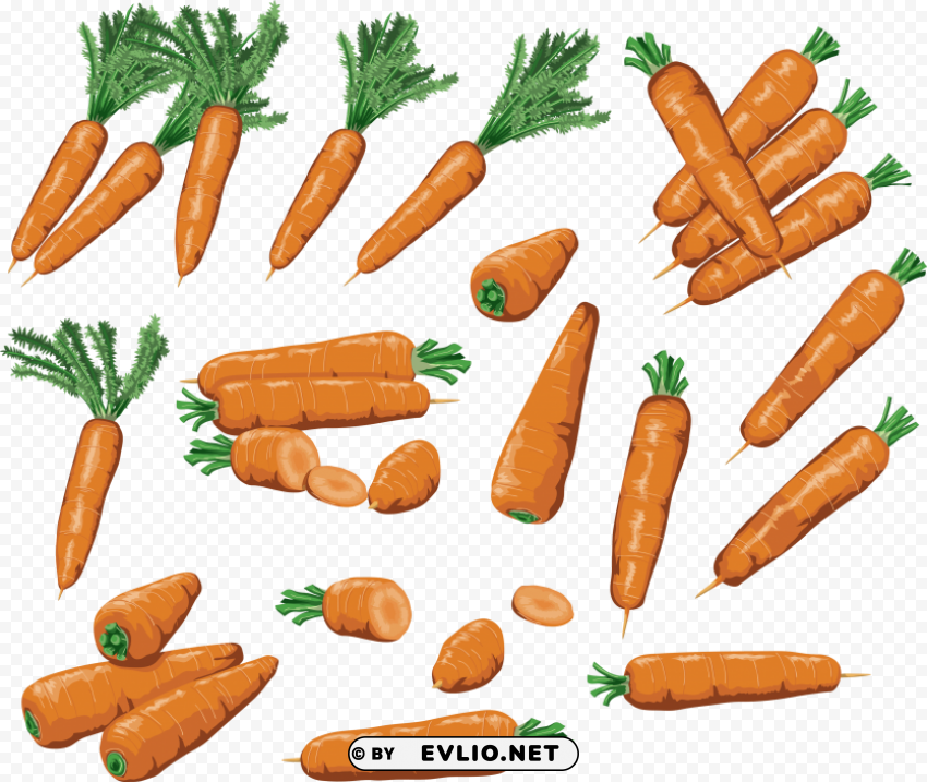 Carrot PNG For Photoshop