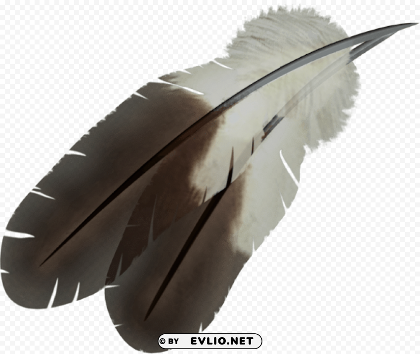 feather PNG with no background free download png images background - Image ID 5e9c5350