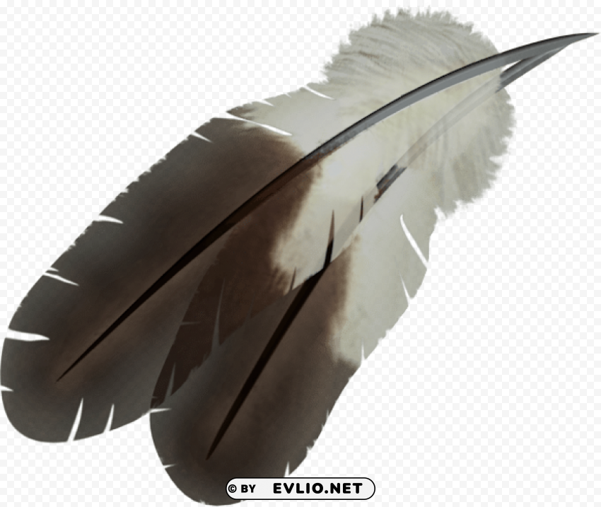 feather Transparent Background Isolated PNG Design Element