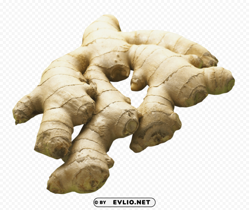ginger PNG Image Isolated with Transparent Detail