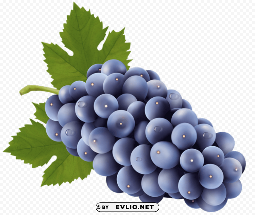 grapes free Isolated Object on Clear Background PNG