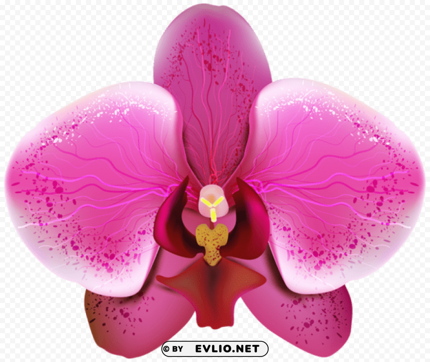 PNG image of pnk orchid PNG transparent images for websites with a clear background - Image ID f0d3e866