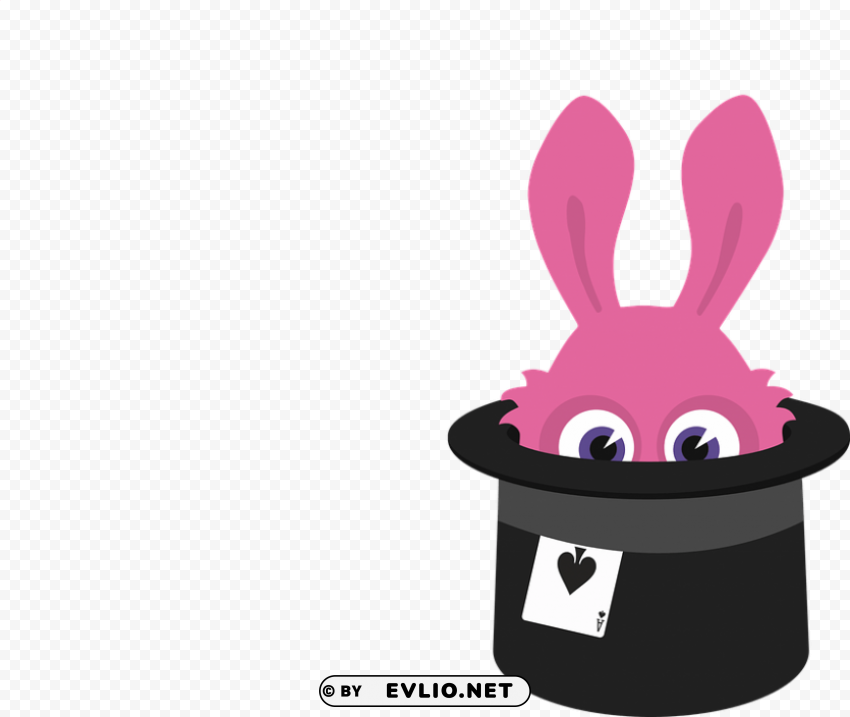 rabbit hat Transparent background PNG images comprehensive collection png - Free PNG Images ID 232fdc3b