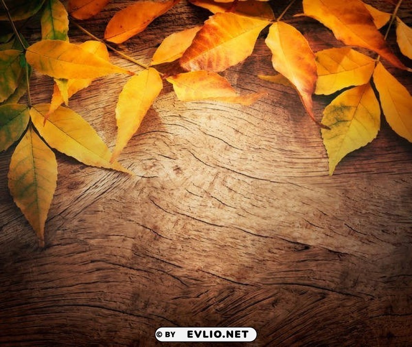 woodenwith autumn leaves Isolated PNG Graphic with Transparency