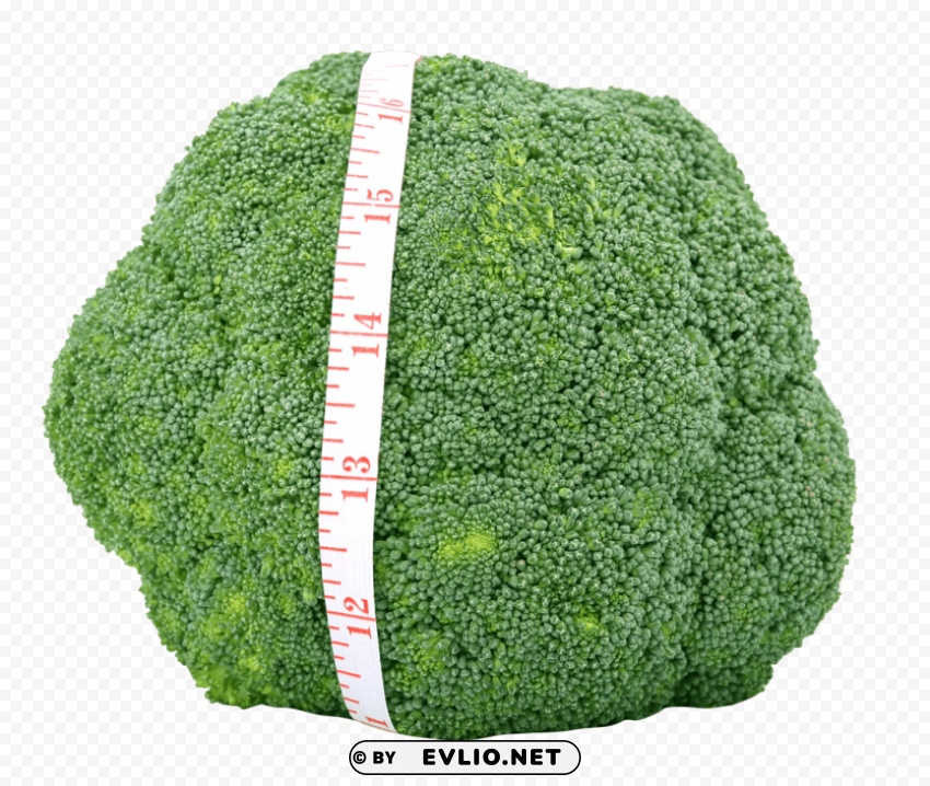 fresh green broccoli PNG Graphic with Isolated Clarity