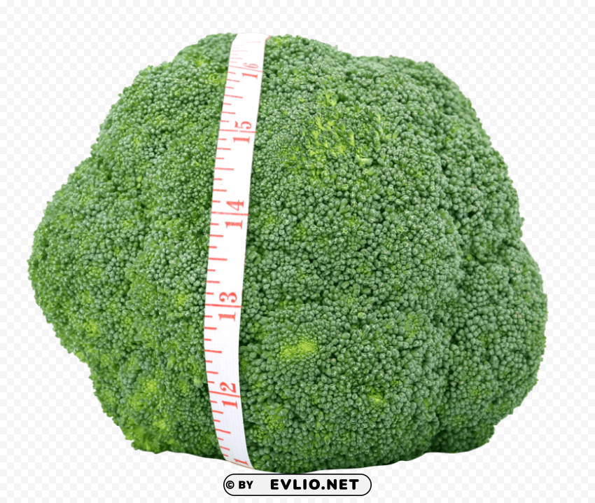 Fresh Green Broccoli PNG Graphic With Isolated Clarity