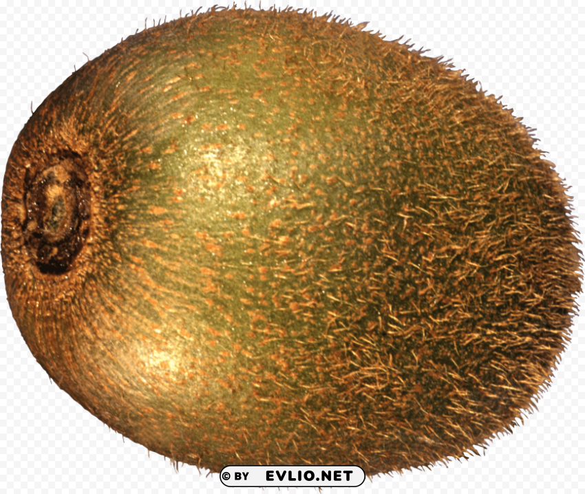 kiwi PNG images with transparent overlay