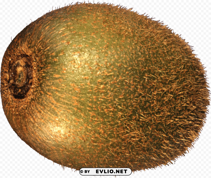 Kiwi PNG Images With Transparent Overlay