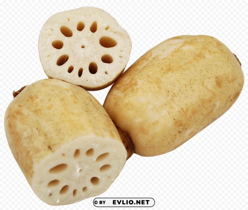 Transparent Lotus Root PNG file with alpha PNG background - Image ID c4d2e5b9