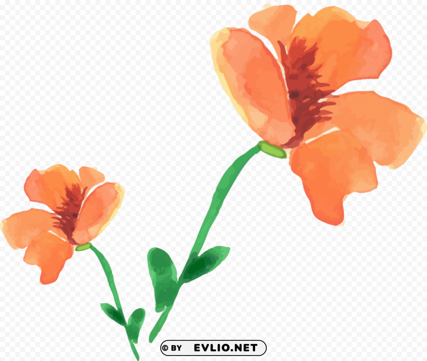 watercolor painting PNG Image Isolated with High Clarity