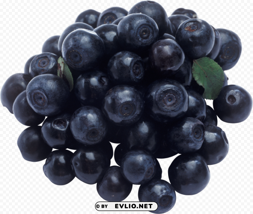 blueberries PNG Image Isolated with Clear Background