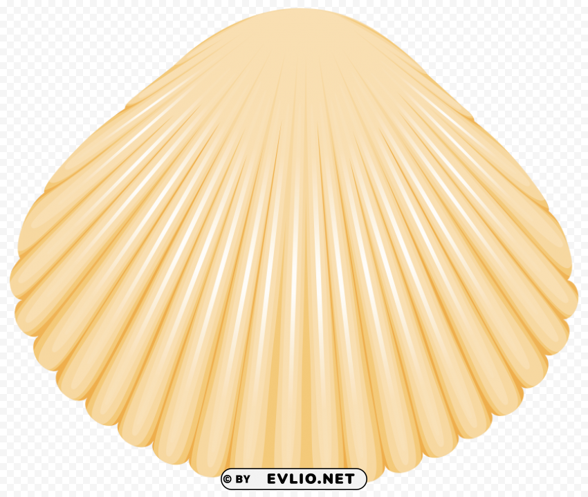 clam shell PNG with isolated background