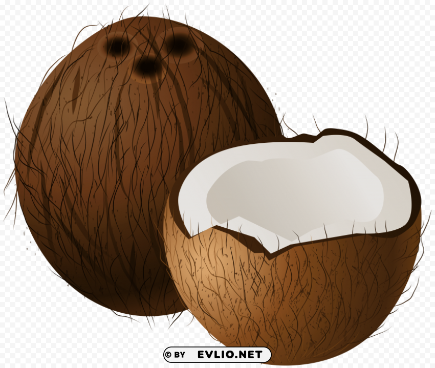 coconuts Isolated Illustration in Transparent PNG clipart png photo - 14987c4e