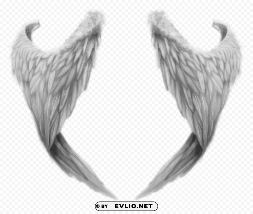 fantasy angel wings PNG with no cost